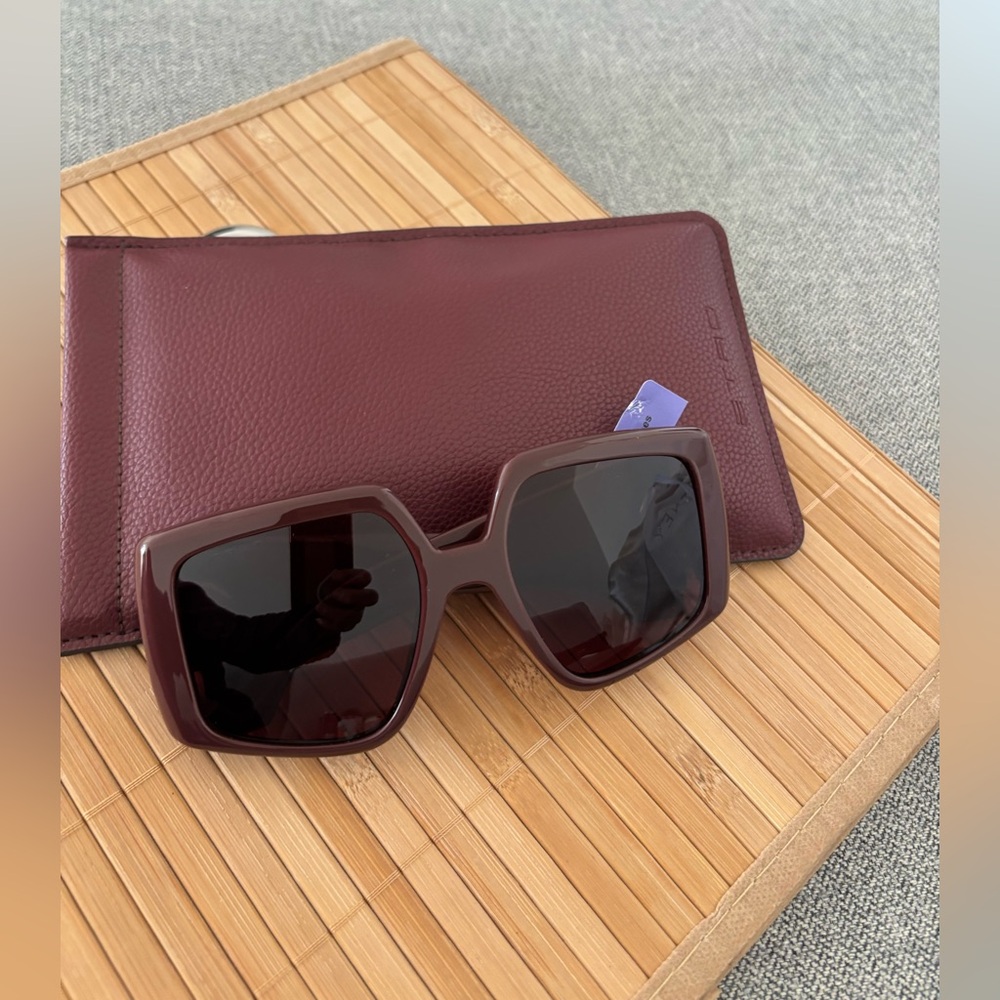 ETRO ETRO 0038/S burgundy sunglasses